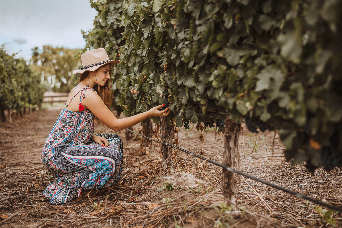 Retrato portrait bella sesión fotos fotografa joven buena paisaje alejandra ramos argentina salta peru lima soñada photography photo sesión exterior ella chicas chicos feliz amor love fotografía fotógrafos libre  viñas viñedos