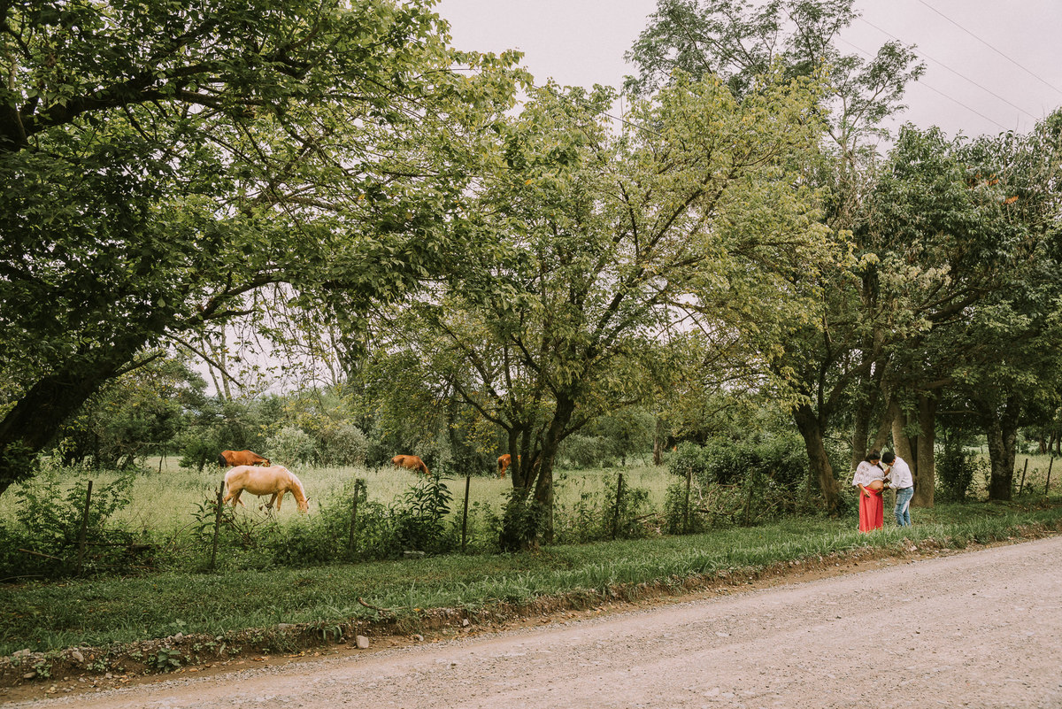 Sesión familia familiar bebe embarazo pareja novios dulce espera nacimiento amor love bienvenida feliz happy session juntos waiting peru argentina sesión 