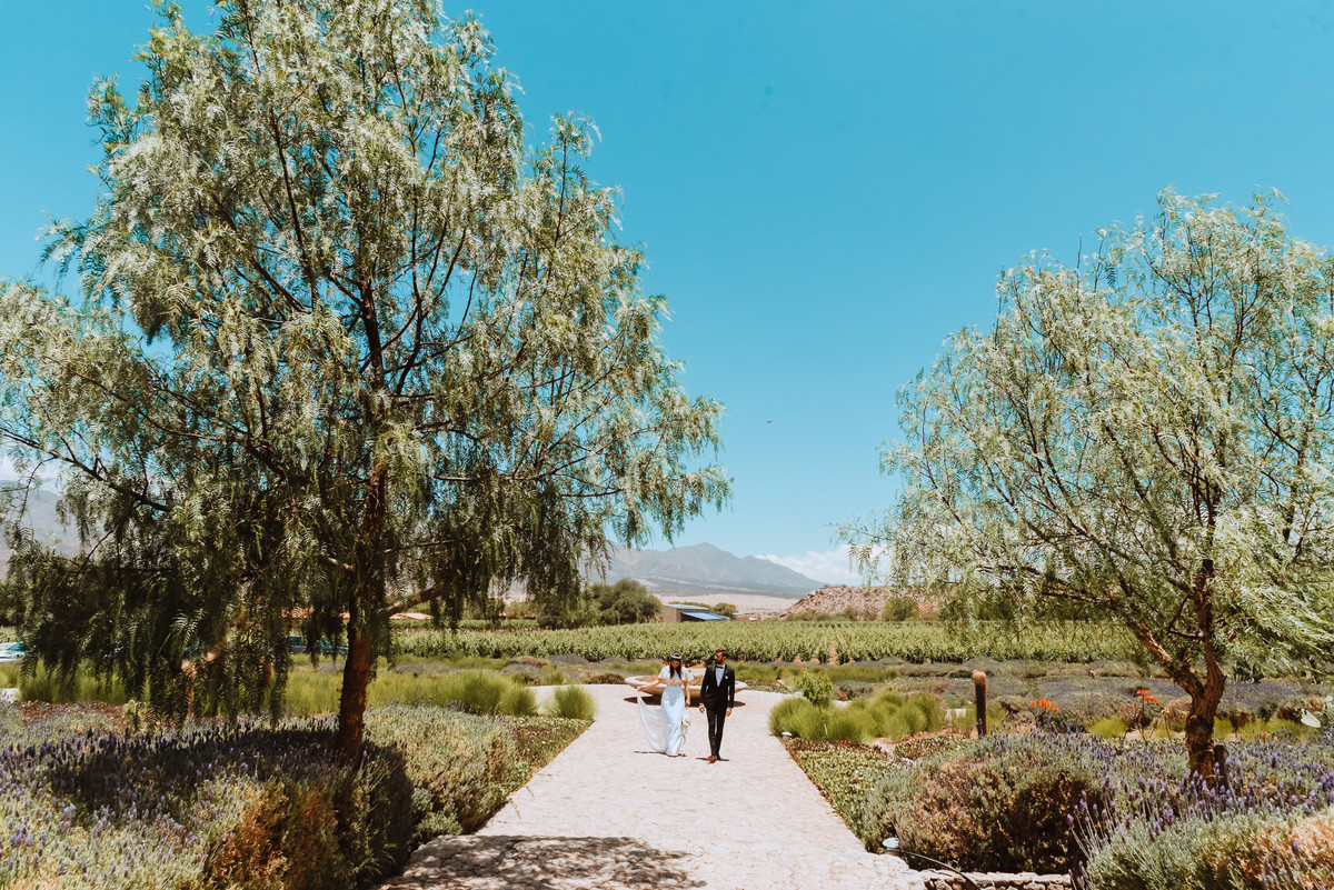bodega colome salta sesion novios alejandra ramos fotografia paisaje boda de dia boda destino 