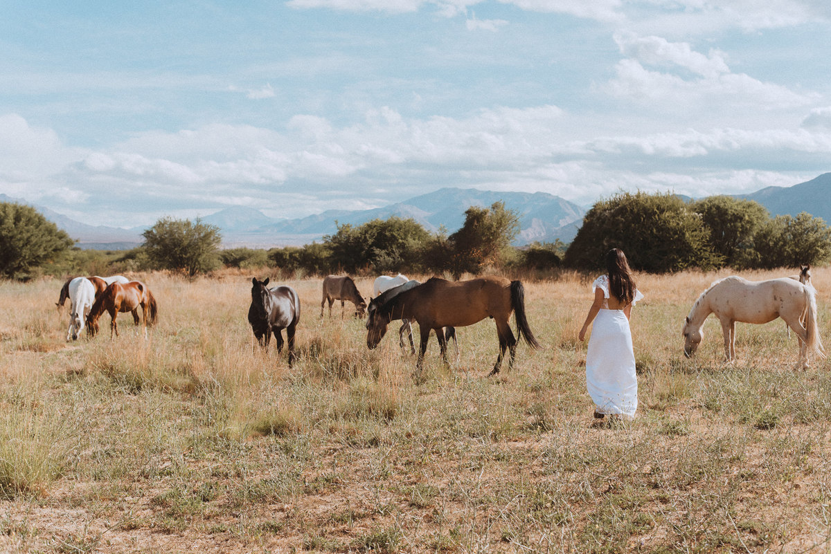 campo sesion de dia caballos sesion de dia fotografa de bodas bodas al aire libre sesion al aire libre novia