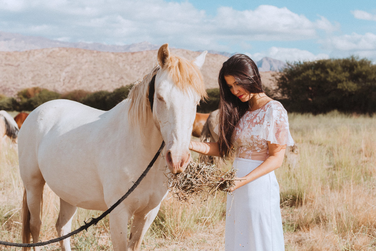 sesion de dia campo boda colome argentina caballo novia