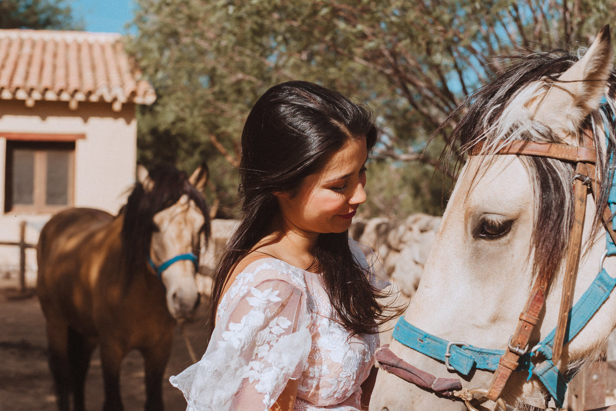 sesion en campo al aire libre de dia novia caballos fotografa de bodas vestido de novia amor conexion argentina 