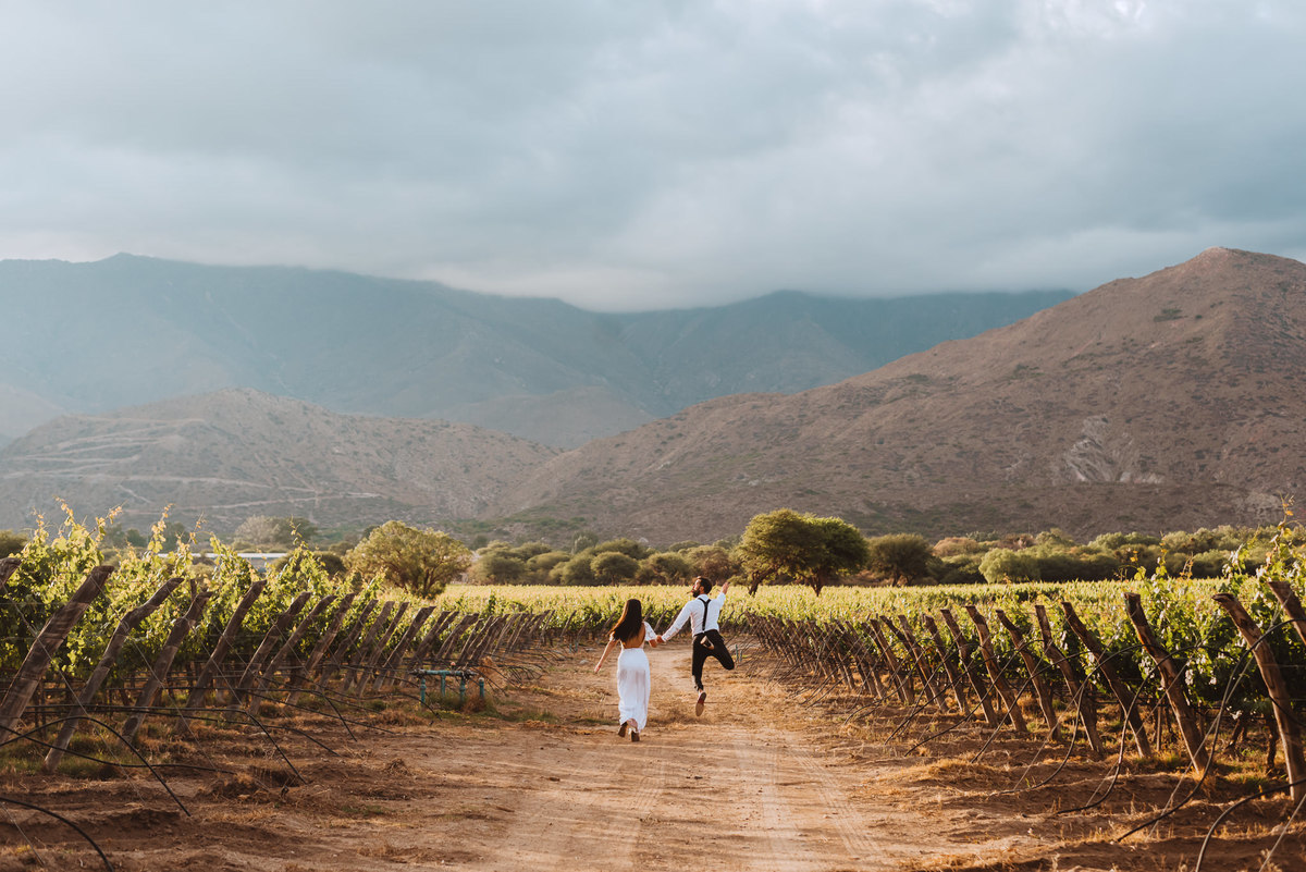 campo aire libre sesion de novios de dia felices fotografa de bodas viñedos novio saltando