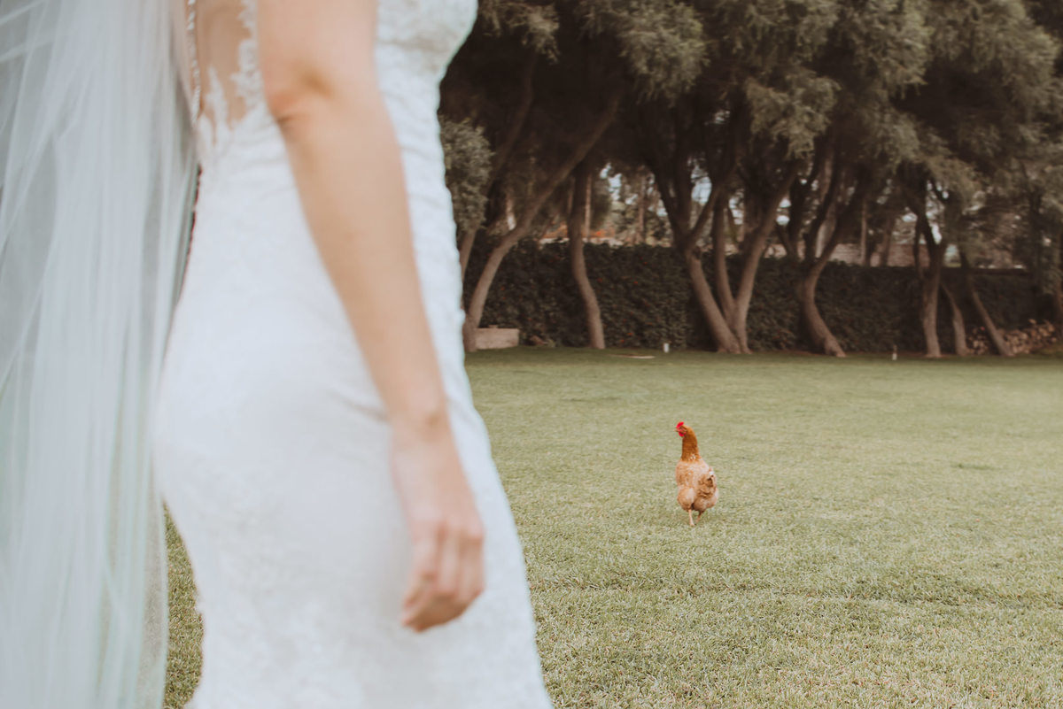 sesion de novios al aire libre con animales gallo gallina paisaje fotografa de bodas momentos especiales alejandra ramos fotografia 