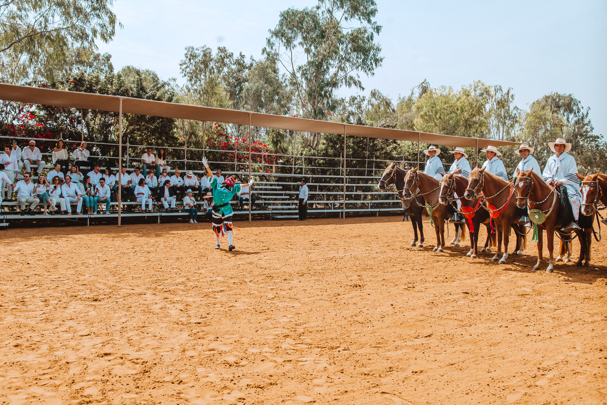 show de caballos de pasos peruanos en hacienda mamacona fotografa de bodas en peru lima momentos unicos espectaculo al aire libre almuerzo lunch 