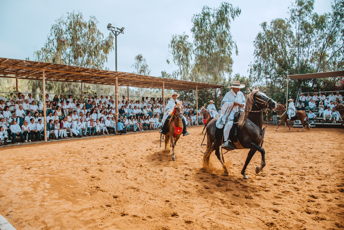 naturaleza caballos peruanos de paso fotografa de bodas en peru festejo al aire libre invitados espectaculo horses