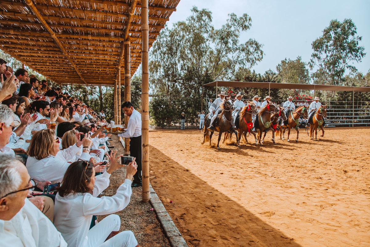 demostracion de caballos peruanos de paso hacienda mamacona al aire libre espectaculo de caballos fotografa de bodas alejandra ramos fotografia  celebracion lunch  wedding photographer