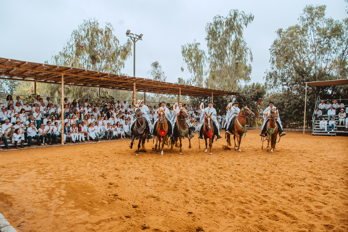 caballos peruanos de paso alejandra ramos fotografia  fotografa de bodas en peru espectaculo al aire libre lunch almuerzo previo a la boda  wedding photographer