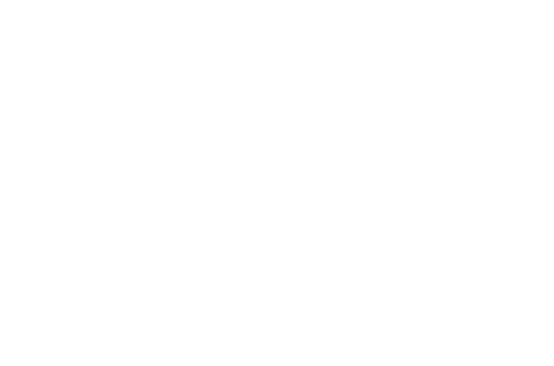 Logotipo de Dani Linck Fotografia