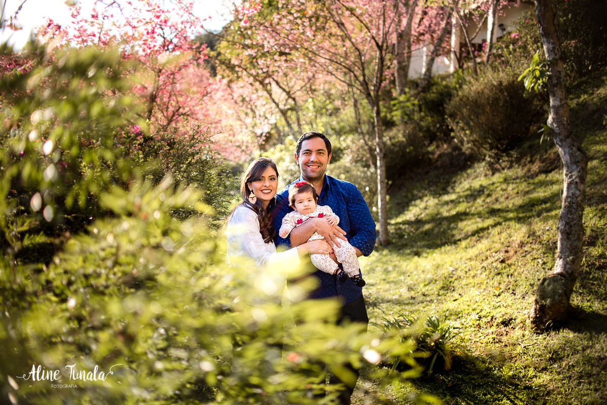 ensaio infantil de acompanhamento de bebês, beatriz com 4 meses posando com seus pais em meio as cerejeiras floridas do hotel fazenda monte verde