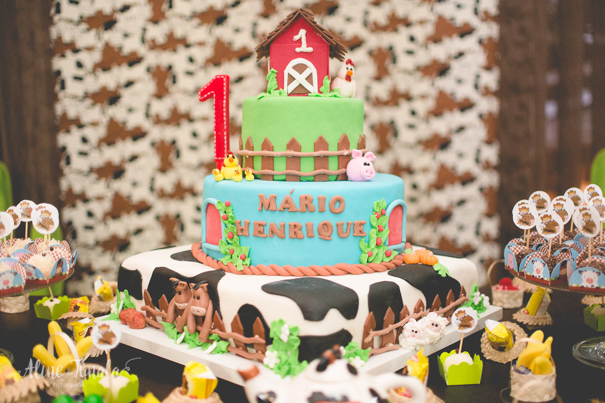 aniversário infantil de 1 aninho do Mario Henrique que aconteceu em fruteiras nova, Vargem Alta, ES. Festa com tema fazendinha com decoraçaõ de Jovana Donna.