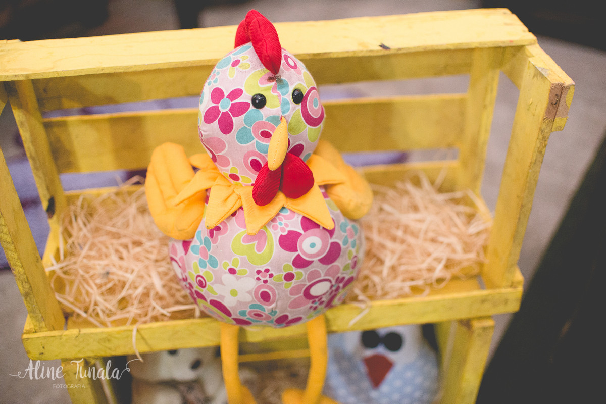 aniversário infantil de 1 aninho do Mario Henrique que aconteceu em fruteiras nova, Vargem Alta, ES. Festa com tema fazendinha com decoraçaõ de Jovana Donna.