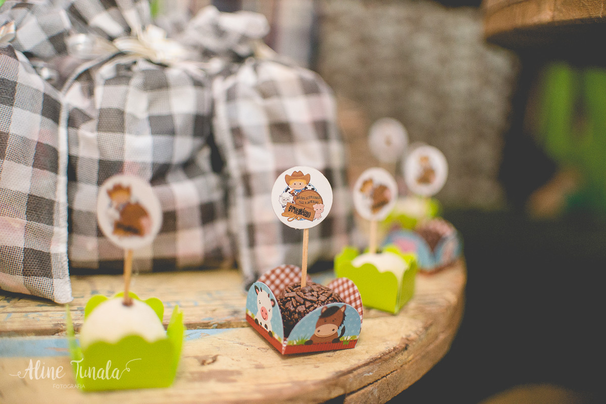 aniversário infantil de 1 aninho do Mario Henrique que aconteceu em fruteiras nova, Vargem Alta, ES. Festa com tema fazendinha com decoraçaõ de Jovana Donna.