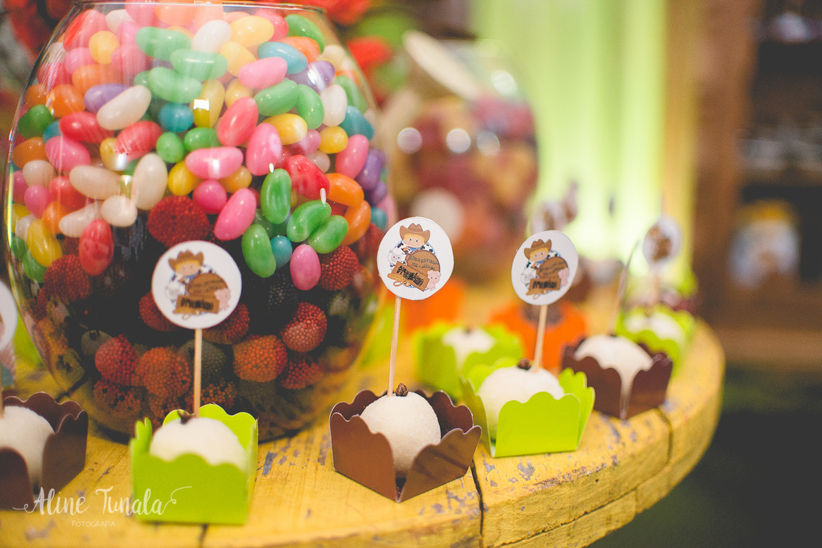 aniversário infantil de 1 aninho do Mario Henrique que aconteceu em fruteiras nova, Vargem Alta, ES. Festa com tema fazendinha com decoraçaõ de Jovana Donna.