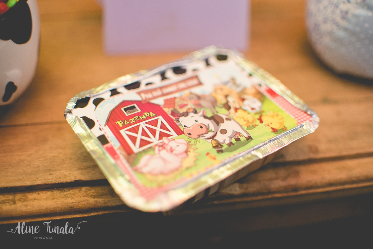 aniversário infantil de 1 aninho do Mario Henrique que aconteceu em fruteiras nova, Vargem Alta, ES. Festa com tema fazendinha com decoraçaõ de Jovana Donna.