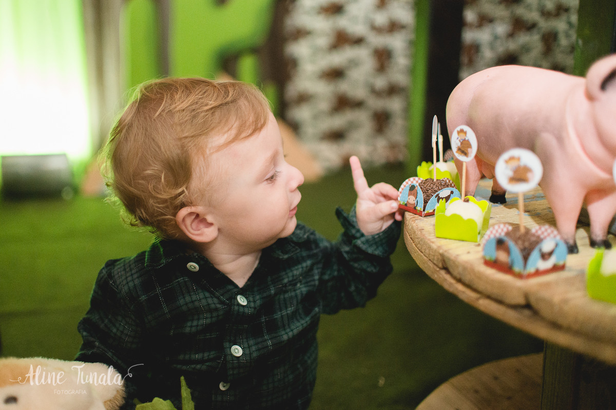 aniversário infantil de 1 aninho do Mario Henrique que aconteceu em fruteiras nova, Vargem Alta, ES. Festa com tema fazendinha com decoraçaõ de Jovana Donna.