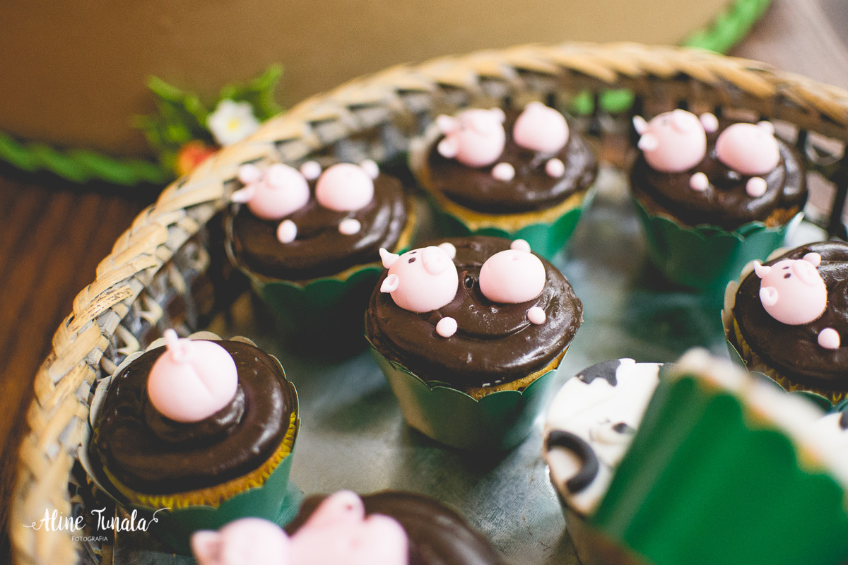 aniversário infantil, fazendinha, 1 ano, fotografia, fotografia infantil, mundo mágico, cachoeiro de itapemirim