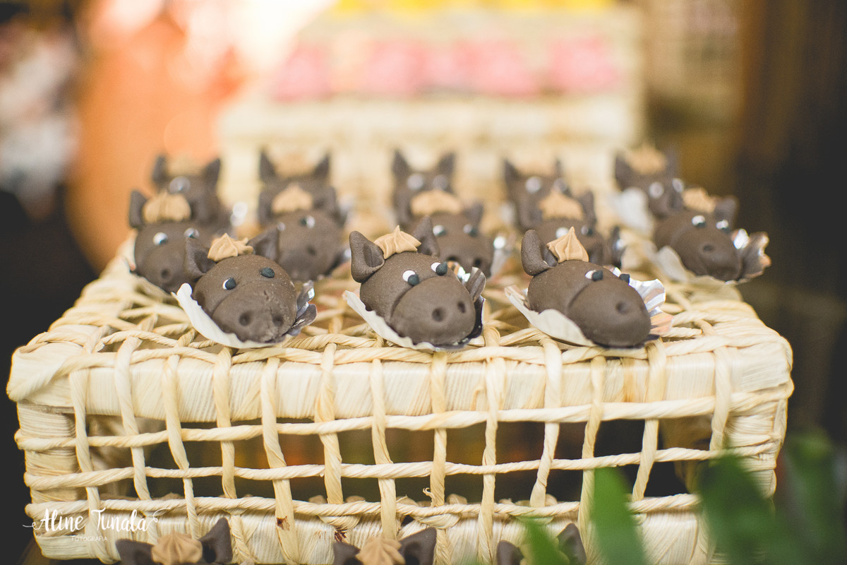 aniversário infantil, fazendinha, 1 ano, fotografia, fotografia infantil, mundo mágico, cachoeiro de itapemirim