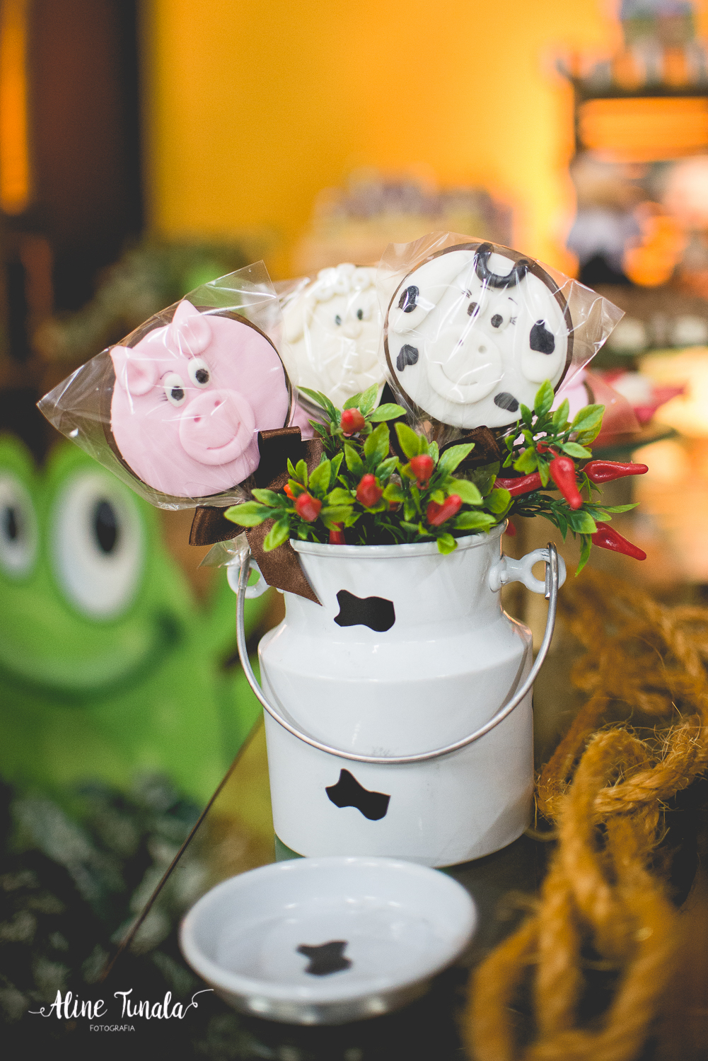 aniversário infantil, fazendinha, 1 ano, fotografia, fotografia infantil, mundo mágico, cachoeiro de itapemirim