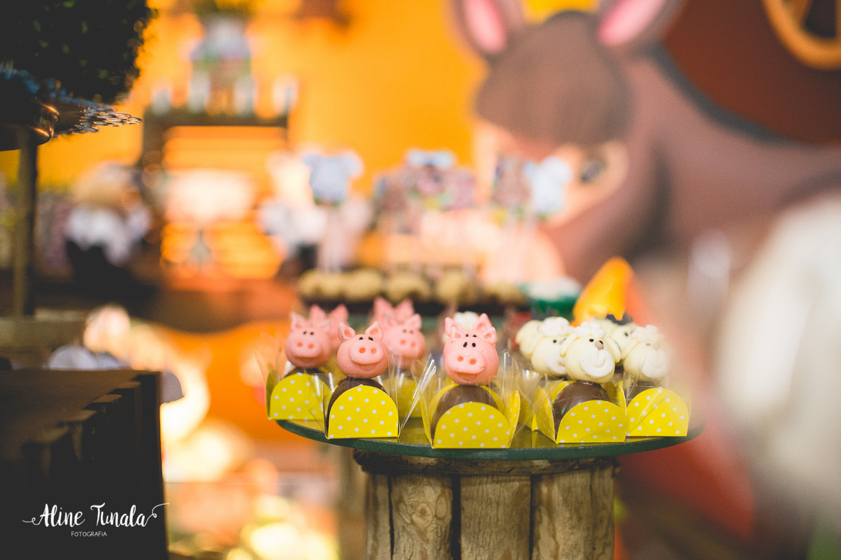 aniversário infantil, fazendinha, 1 ano, fotografia, fotografia infantil, mundo mágico, cachoeiro de itapemirim