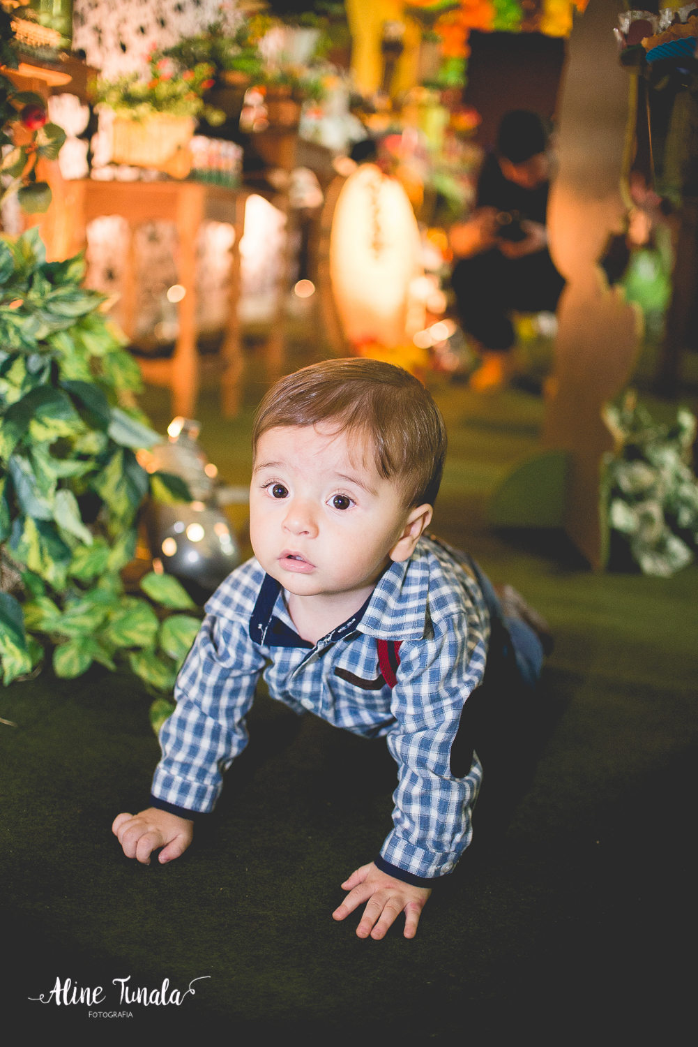 aniversário infantil, fazendinha, 1 ano, fotografia, fotografia infantil, mundo mágico, cachoeiro de itapemirim