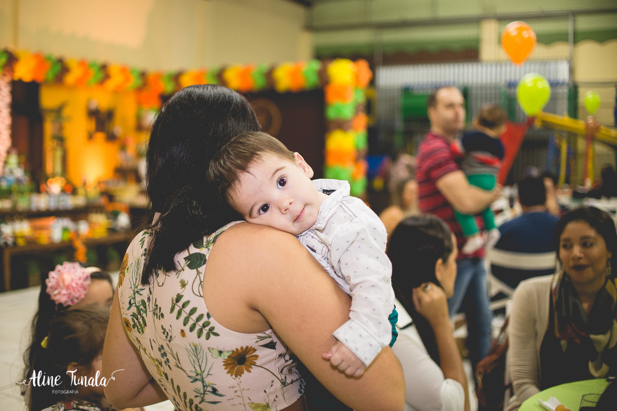aniversário infantil, fazendinha, 1 ano, fotografia, fotografia infantil, mundo mágico, cachoeiro de itapemirim