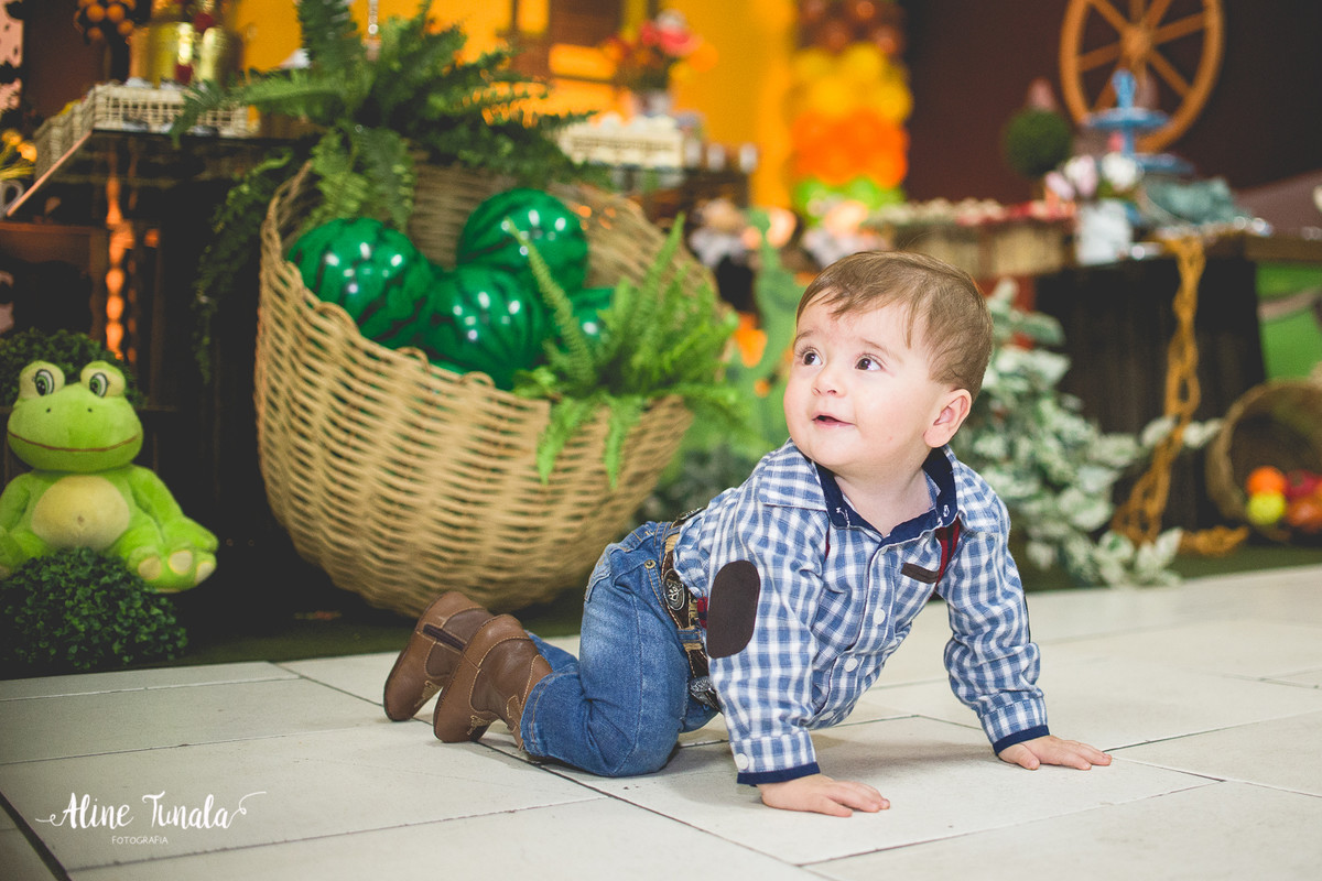 aniversário infantil, fazendinha, 1 ano, fotografia, fotografia infantil, mundo mágico, cachoeiro de itapemirim