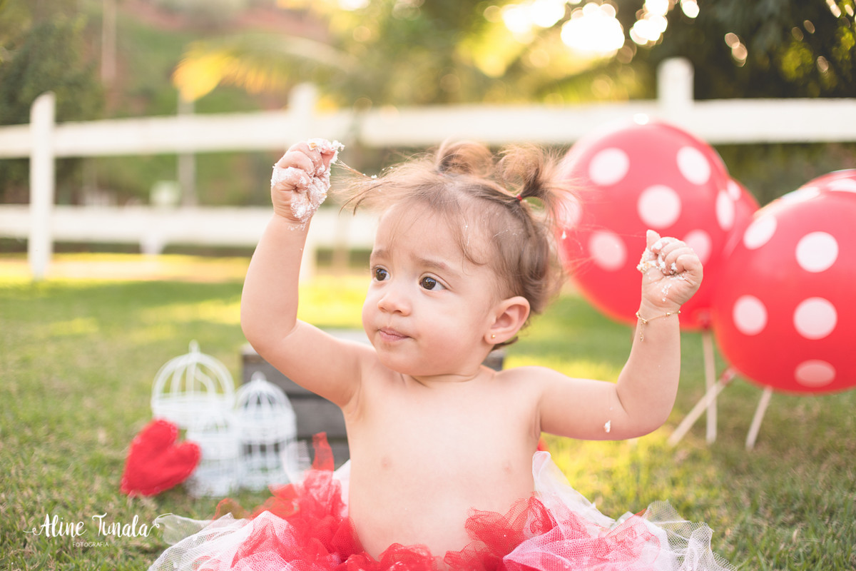 Smash the Cake, destruindo o bolo, ensaio infantil, fotografia infantil, 1 ano, 1 aninho, sítio moitão, cachoeiro de itapemirim