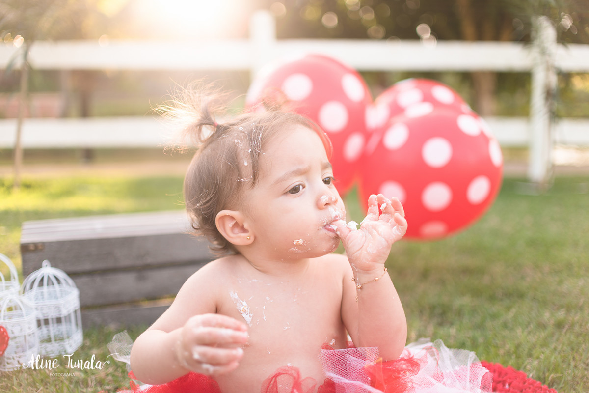Smash the Cake, destruindo o bolo, ensaio infantil, fotografia infantil, 1 ano, 1 aninho, sítio moitão, cachoeiro de itapemirim