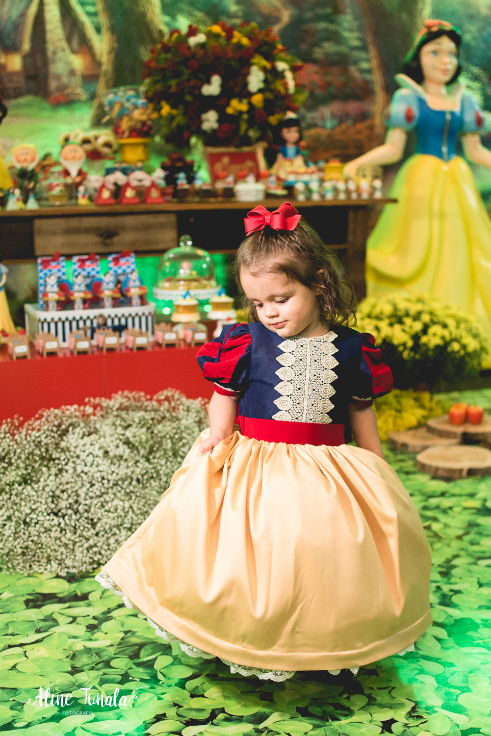 aniversário infantil, branca de neve, aniversário branca de neve, 2 anos, fotografia infantil, fotografia de aniversário, cachoeiro de itapemirim, mimos e delicias