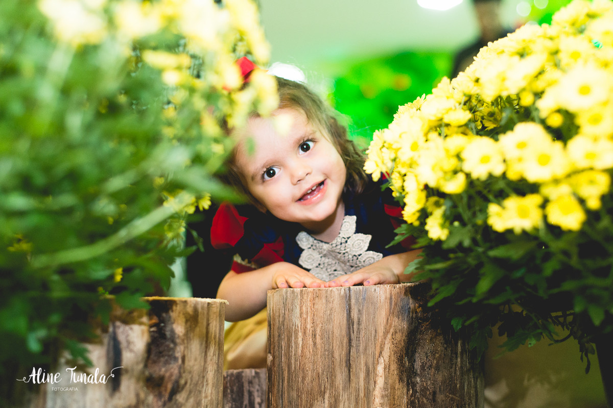 aniversário infantil, branca de neve, aniversário branca de neve, 2 anos, fotografia infantil, fotografia de aniversário, cachoeiro de itapemirim, mimos e delicias