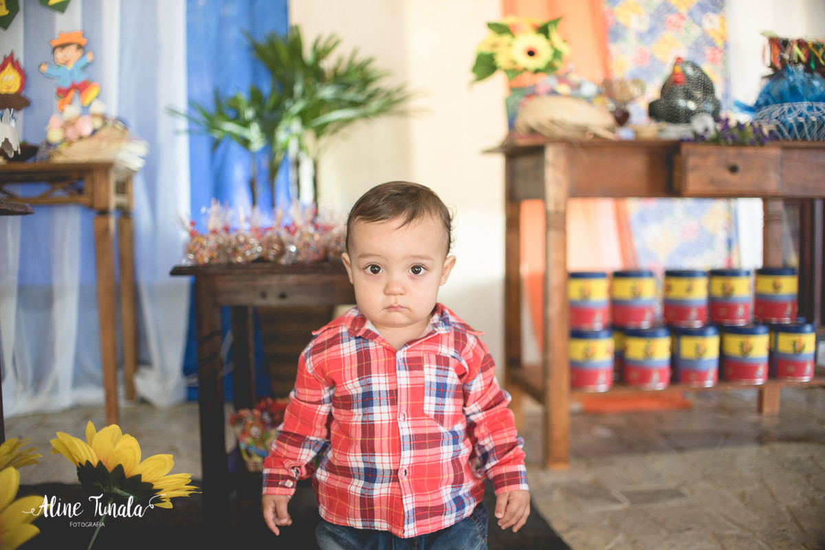 aniversário, aniversário infantil, arraiá, festa julina, festa junina, Casa da Roça, 1 aninho, 1 ano, faz 1