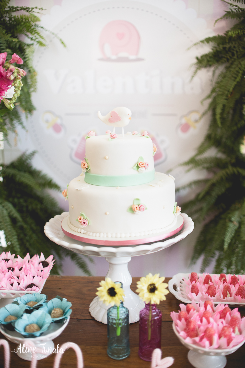 chá de bebê, decoração, fotografia infantil, fotografia de família, fotografia de gestante, gestação, grávida, ideias chá de bebê, cachoeiro, menina