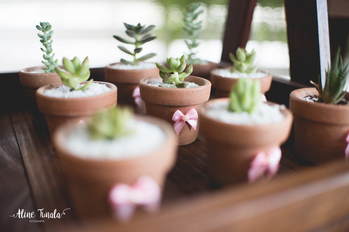 chá de bebê, decoração, fotografia infantil, fotografia de família, fotografia de gestante, gestação, grávida, ideias chá de bebê, cachoeiro, menina