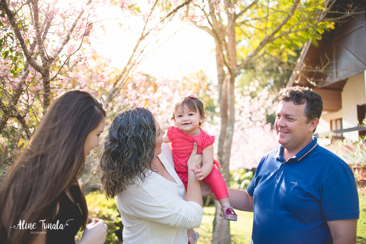 ensaio temático, alice no país das maravilhas, cachoeiro, vargem alta, ensaio infantil, sessão infantil, aniversário infantil, 1 ano, 1 aninho, smash the cake, fotografia infantil, ensaio família