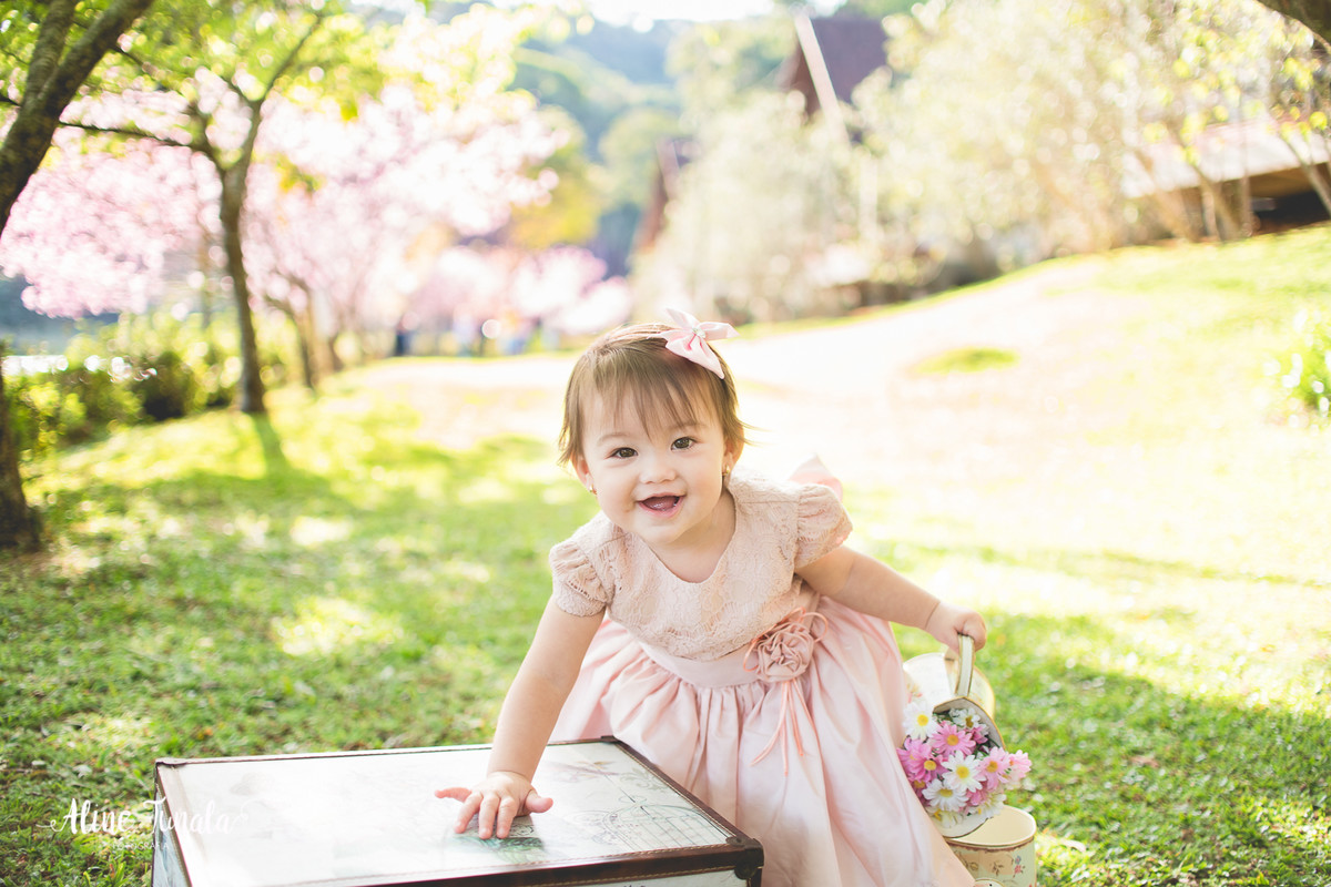 ensaio temático, alice no país das maravilhas, cachoeiro, vargem alta, ensaio infantil, sessão infantil, aniversário infantil, 1 ano, 1 aninho, smash the cake, fotografia infantil, ensaio família