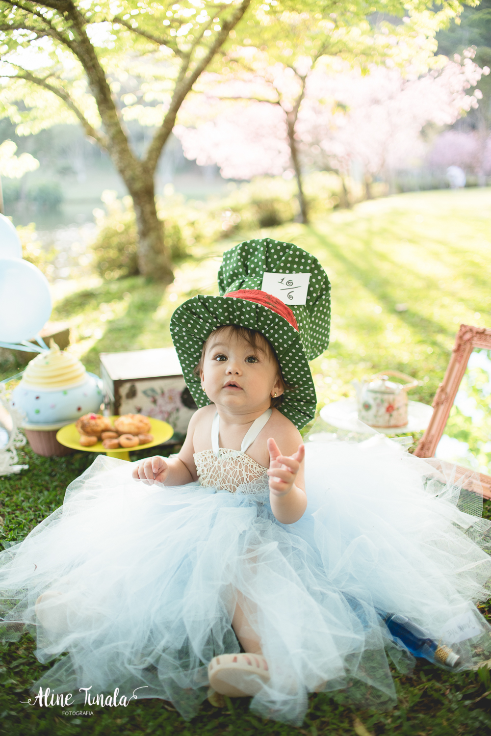 ensaio temático, alice no país das maravilhas, cachoeiro, vargem alta, ensaio infantil, sessão infantil, aniversário infantil, 1 ano, 1 aninho, smash the cake, fotografia infantil, ensaio família