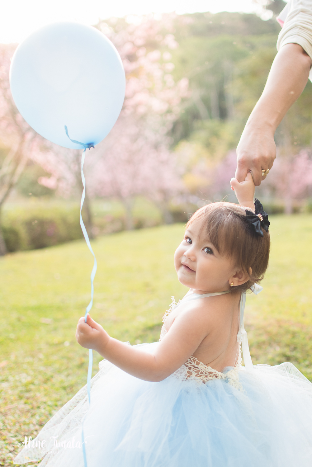ensaio temático, alice no país das maravilhas, cachoeiro, vargem alta, ensaio infantil, sessão infantil, aniversário infantil, 1 ano, 1 aninho, smash the cake, fotografia infantil, ensaio família