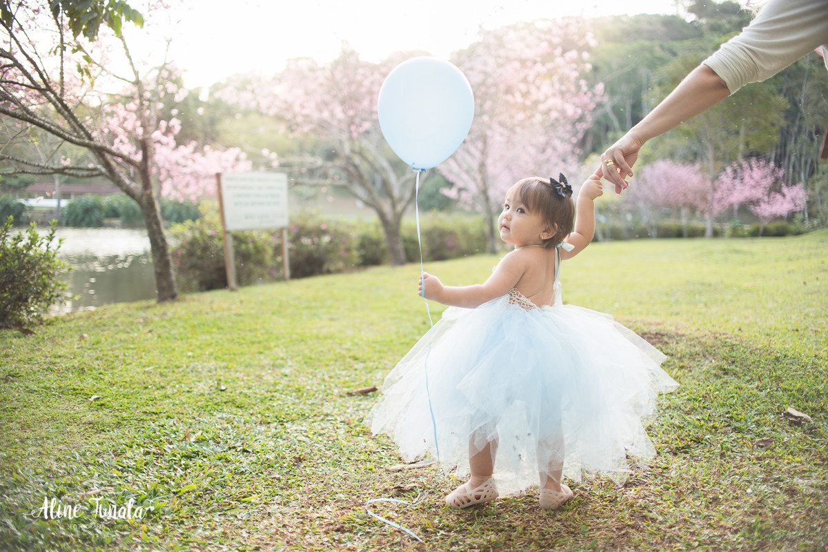 ensaio temático, alice no país das maravilhas, cachoeiro, vargem alta, ensaio infantil, sessão infantil, aniversário infantil, 1 ano, 1 aninho, smash the cake, fotografia infantil, ensaio família