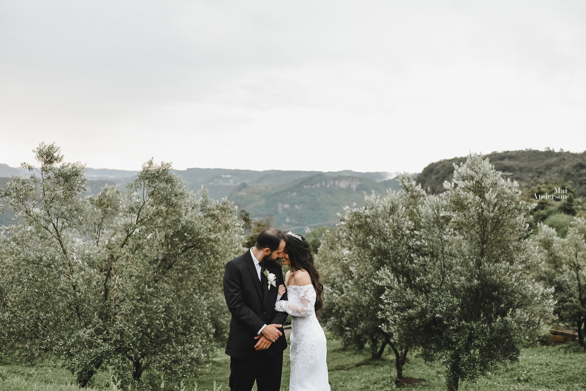 plantação de olivas , elopement wedding