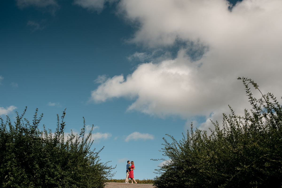 matria parque de flores 