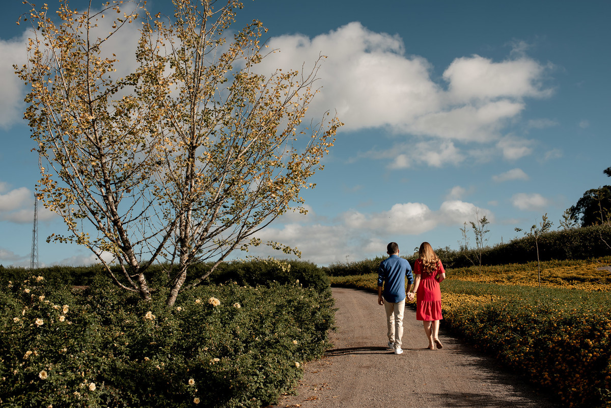 são Francisco de Paula