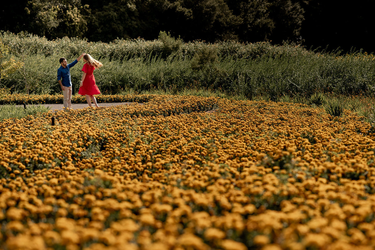 matria parque de flores em  São Francisco de Paula, RS .