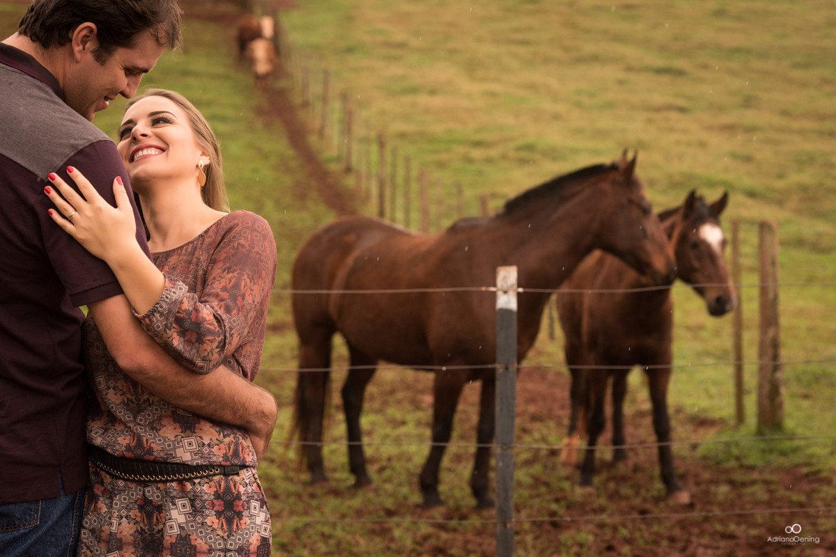 ensaio fotografico com cavalos