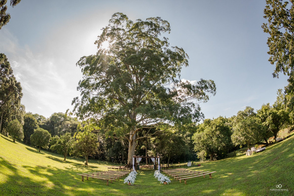 casamento de dia-casamento ao ar livre-casamento no campo