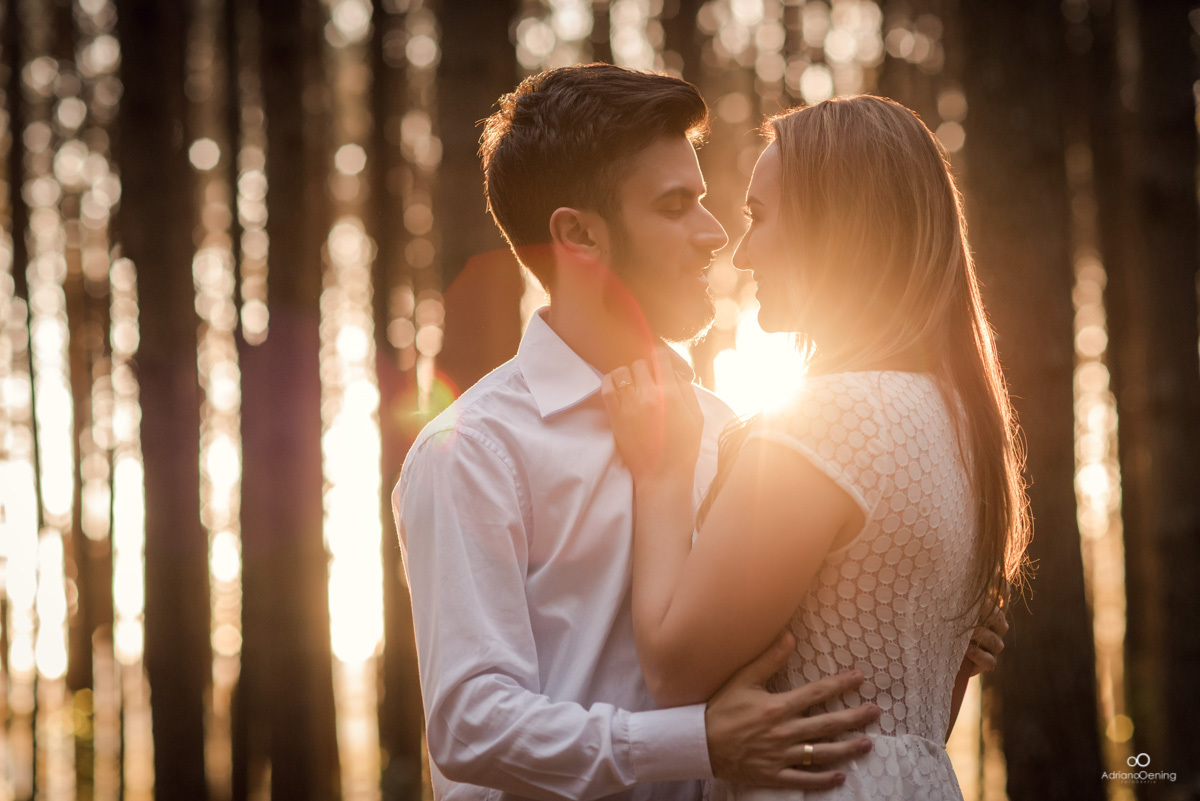 floresta de pinos, por do sol,pré-wedding