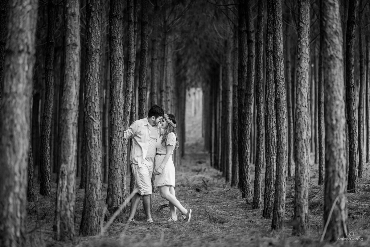 ensaio na floresta de pinos