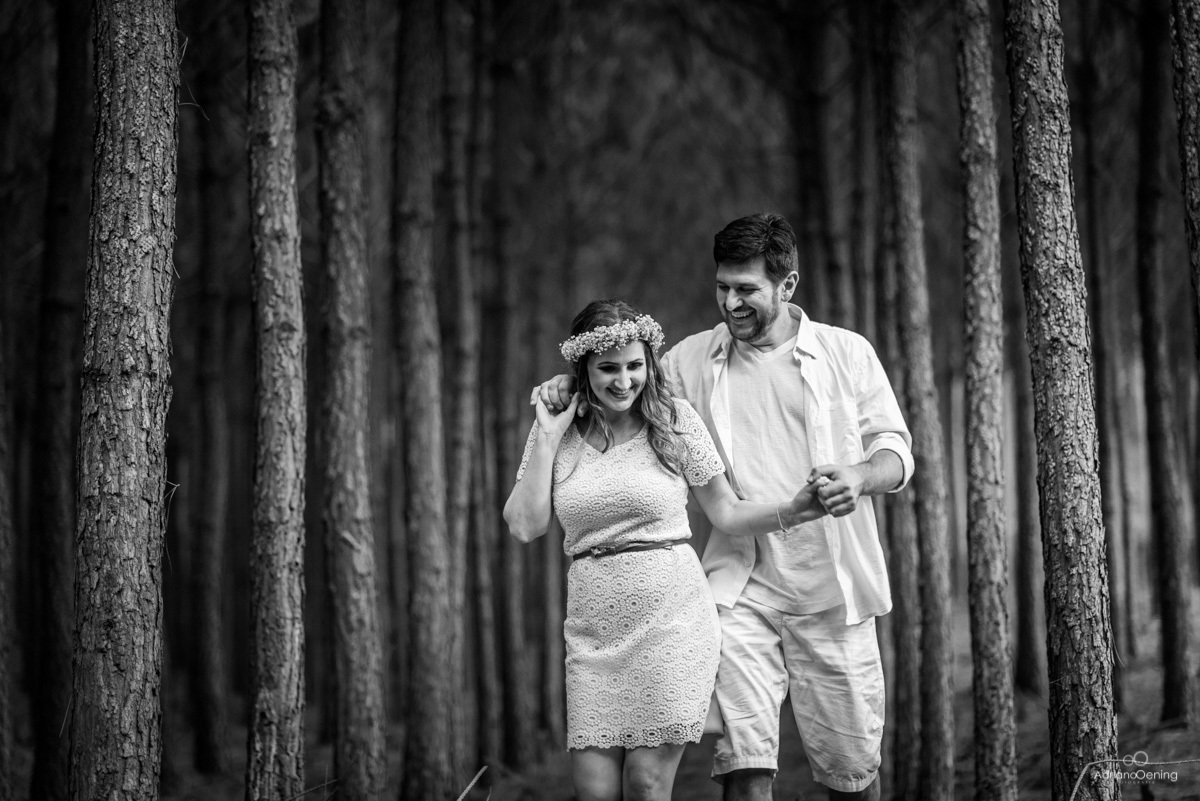 floresta de pinheiros