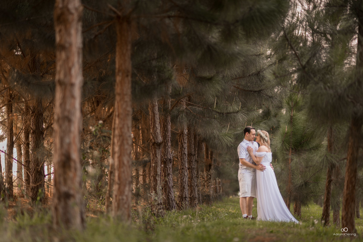 pré-wedding, floresta de pinos, amor