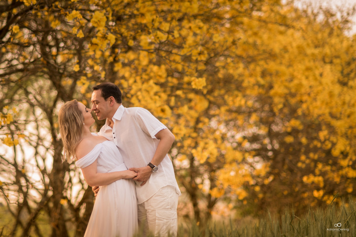 pré-casamento numa floresta de ipês amarelos